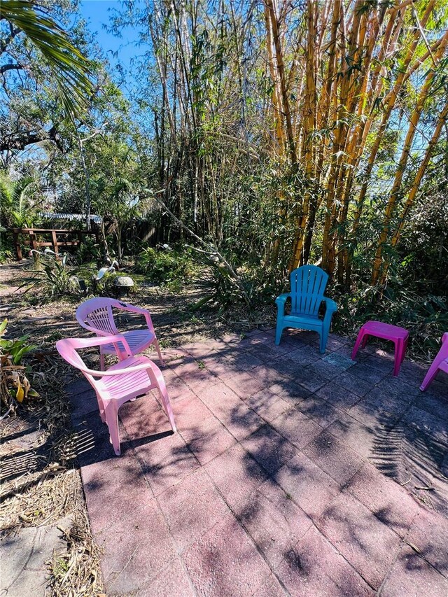 1019 10th Ave W, Bradenton, FL 34205 - photo 49