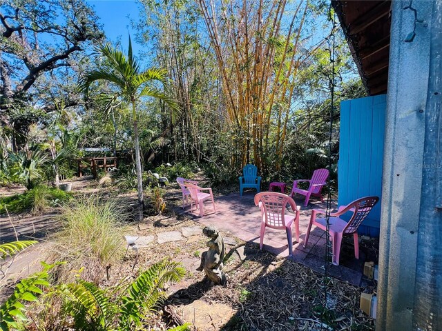 1019 10th Ave W, Bradenton, FL 34205 - photo 56