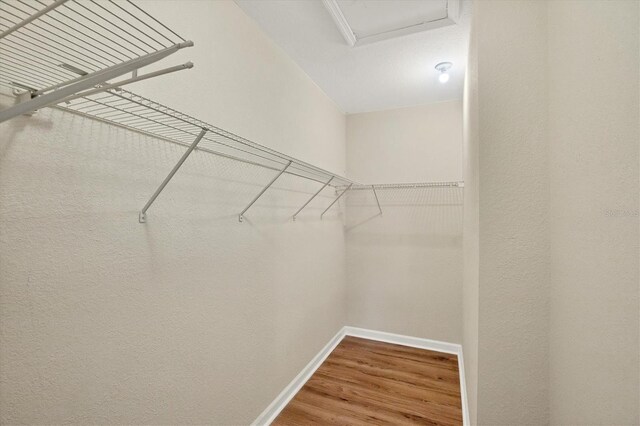 408 Fletcher St, Port Charlotte, FL 33954 - spacious closet featuring wood finished floors and attic access