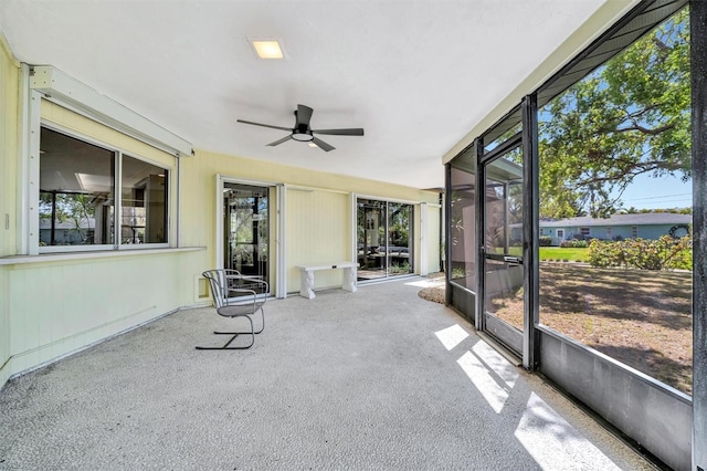 3428 Mineola Dr, Sarasota, FL 34239 - photo 23