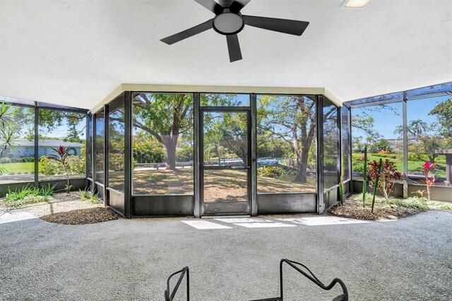 3428 Mineola Dr, Sarasota, FL 34239 - photo 24
