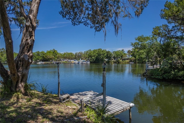 3861 N Ringdove Pt, Crystal River, FL 34428 - dock area with a water view