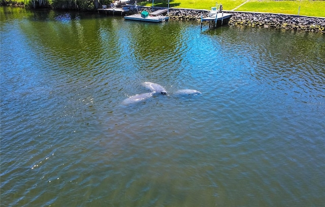 3861 N Ringdove Pt, Crystal River, FL 34428 - water view with a boat dock