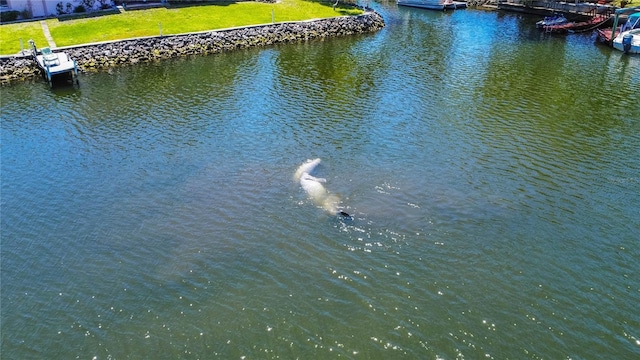3861 N Ringdove Pt, Crystal River, FL 34428 - water view featuring a dock