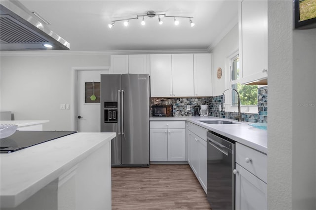 3861 N Ringdove Pt, Crystal River, FL 34428 - kitchen with appliances with stainless steel finishes, exhaust hood, a sink, ornamental molding, and light countertops
