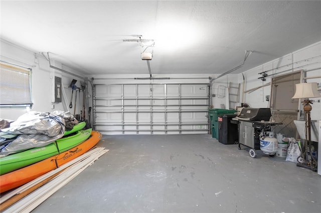 3861 N Ringdove Pt, Crystal River, FL 34428 - garage featuring electric panel and a garage door opener