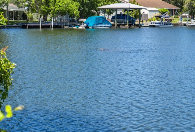 3861 N Ringdove Pt, Crystal River, FL 34428 - dock with a water view