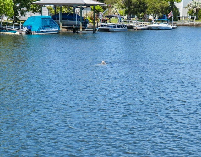 3861 N Ringdove Pt, Crystal River, FL 34428 - water view with a dock