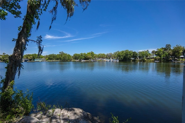 3861 N Ringdove Pt, Crystal River, FL 34428 - water view