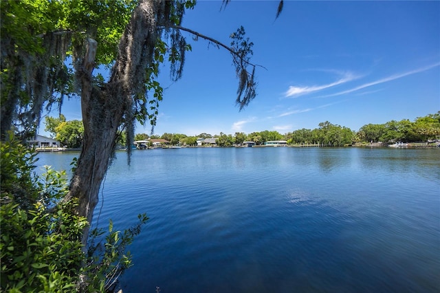 3861 N Ringdove Pt, Crystal River, FL 34428 - water view