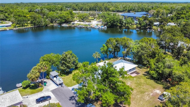 3861 N Ringdove Pt, Crystal River, FL 34428 - drone / aerial view of a nearby body of water and a forest