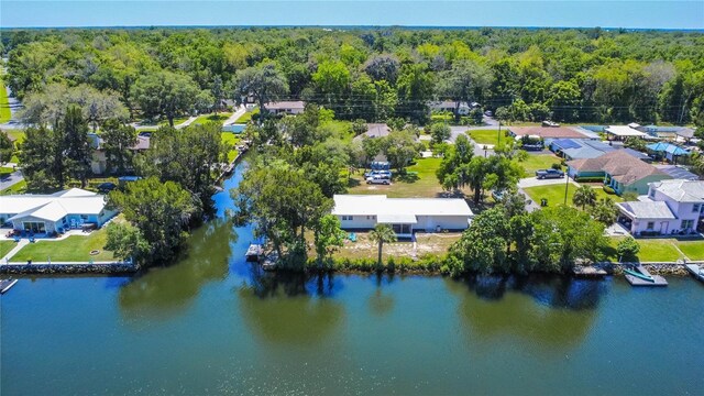 3861 N Ringdove Pt, Crystal River, FL 34428 - aerial view of residential area with a heavily wooded area and a large body of water
