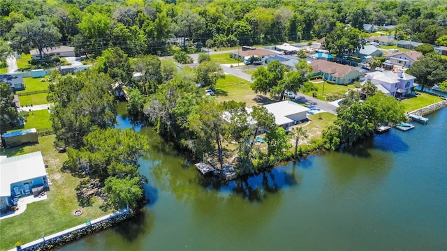 3861 N Ringdove Pt, Crystal River, FL 34428 - drone / aerial view of a forest and a large body of water