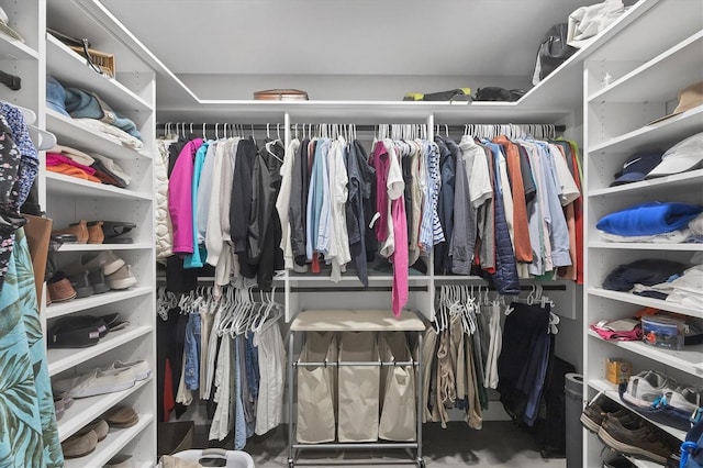 1919 Laurel St, Sarasota, FL 34236 - view of walk in closet