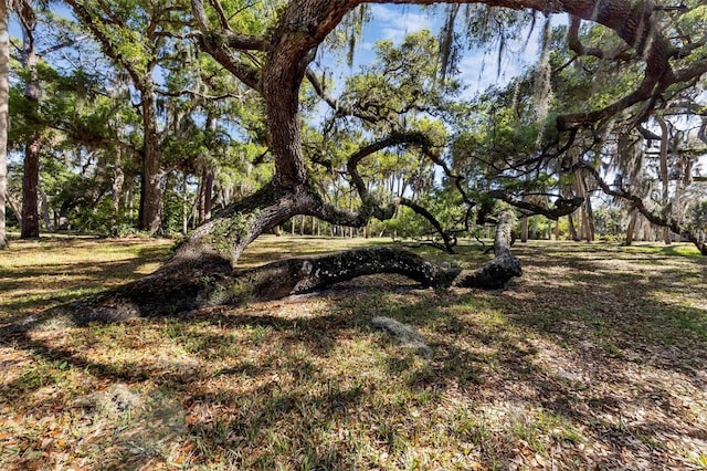 2740 Orchid Oaks Dr Unit 304, Sarasota, FL 34239 - view of yard