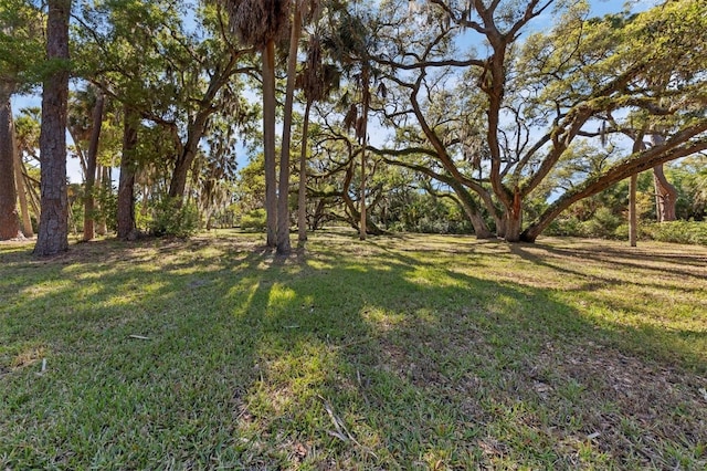 2740 Orchid Oaks Dr Unit 304, Sarasota, FL 34239 - view of green lawn