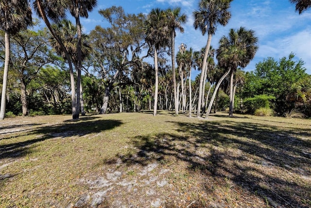 2740 Orchid Oaks Dr Unit 304, Sarasota, FL 34239 - view of grassy yard