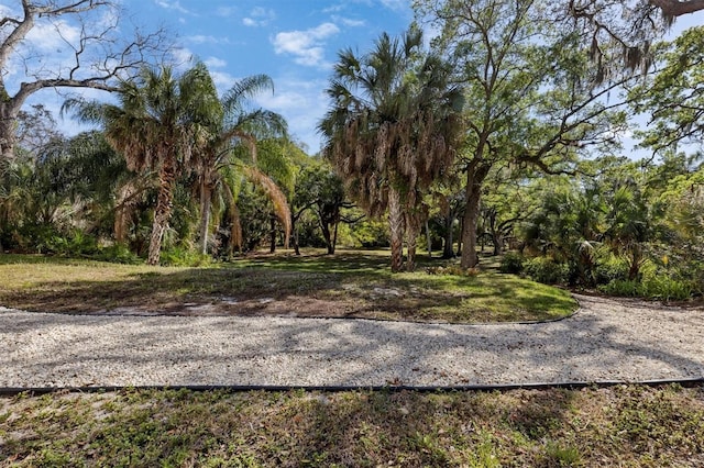 2740 Orchid Oaks Dr Unit 304, Sarasota, FL 34239 - view of yard
