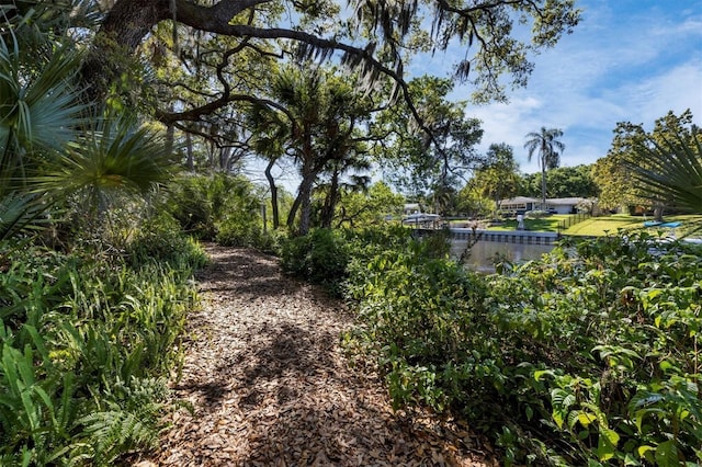 2740 Orchid Oaks Dr Unit 304, Sarasota, FL 34239 - view of street