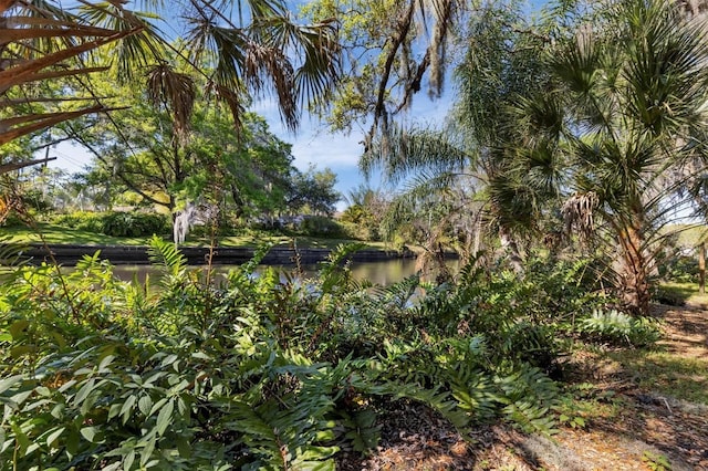 2740 Orchid Oaks Dr Unit 304, Sarasota, FL 34239 - view of yard with a water view