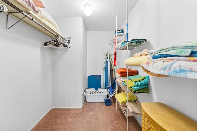5600 Beach Way Dr Unit 201, Sarasota, FL 34242 - spacious closet featuring carpet flooring