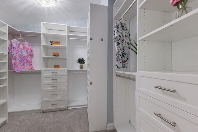 12015 Forest Park Cir, Bradenton, FL 34211 - walk in closet with light colored carpet