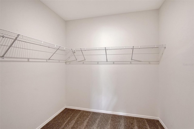 1643 35th St, Sarasota, FL 34234 - spacious closet with carpet flooring