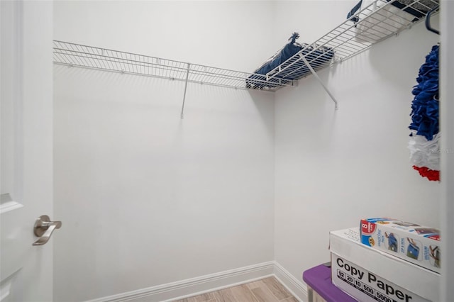 10423 Morning Marsh Ln, Parrish, FL 34219 - walk in closet with light wood-style floors