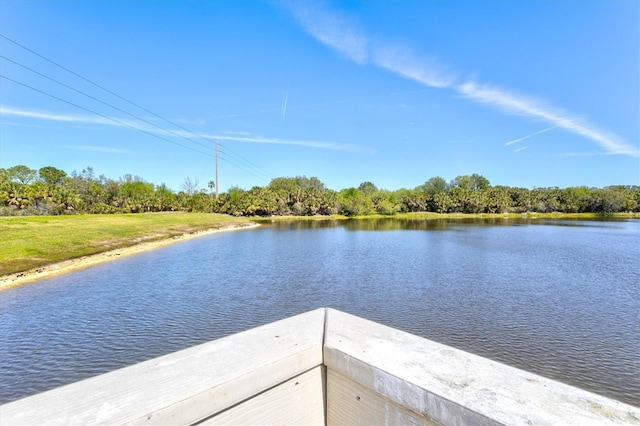 5740 Eagle Creek Rd, Sarasota, FL 34238 - water view with a tree filled landscape