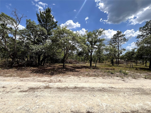TBD SE 95th St, Dunnellon, FL 34431