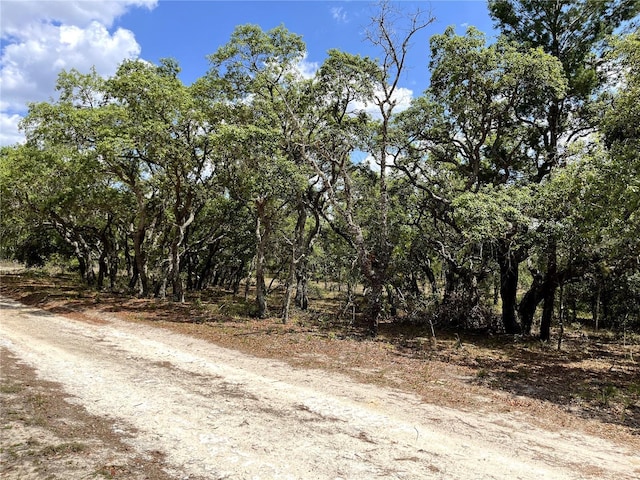 TBD SE 95th St, Dunnellon, FL 34431