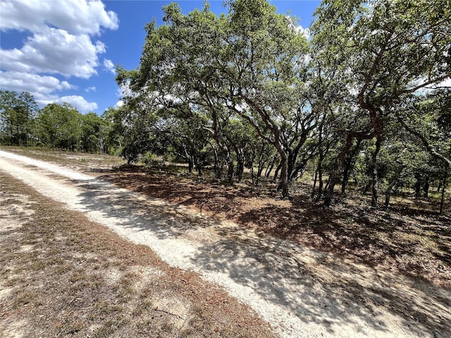 TBD SE 95th St, Dunnellon, FL 34431