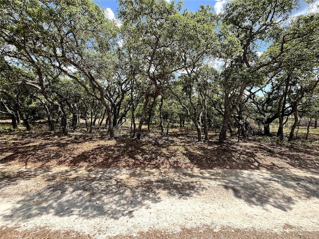 TBD SE 95th St, Dunnellon, FL 34431