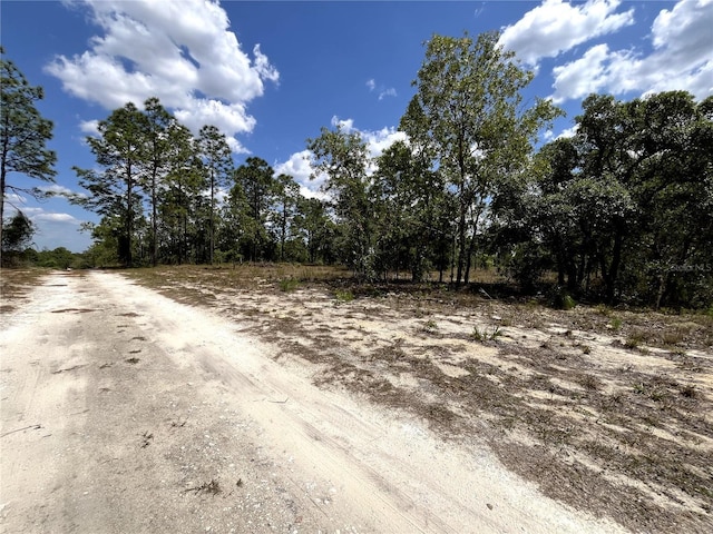 TBD SE 95th St, Dunnellon, FL 34431