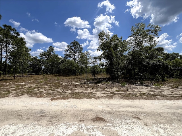 TBD SE 95th St, Dunnellon, FL 34431