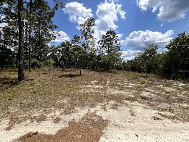 TBD SE 95th St, Dunnellon, FL 34431
