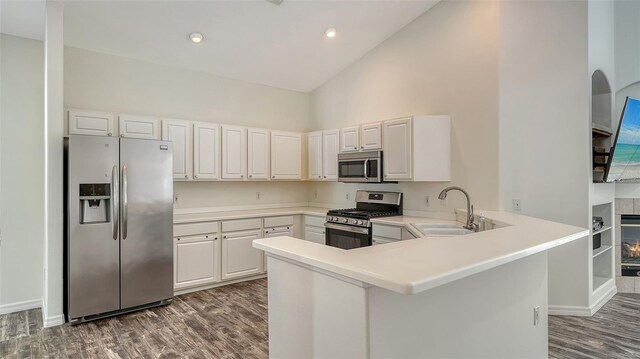 6213 Willet Ct, Lakewood Ranch, FL 34202 - kitchen with stainless steel appliances, a sink, dark wood-style flooring, a peninsula, and high vaulted ceiling