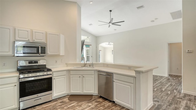 6213 Willet Ct, Lakewood Ranch, FL 34202 - kitchen featuring appliances with stainless steel finishes, a sink, vaulted ceiling, a ceiling fan, and a peninsula