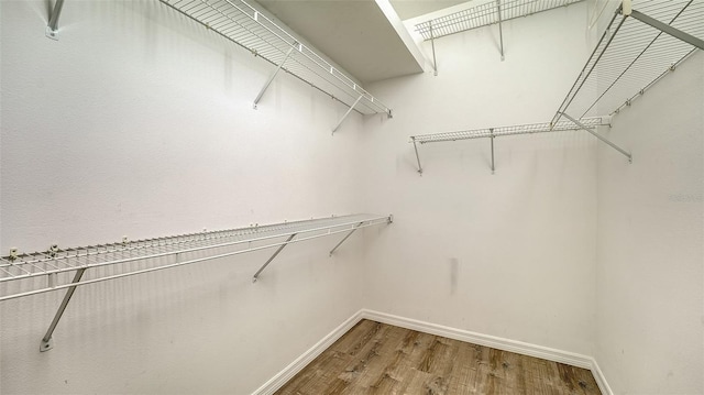 6213 Willet Ct, Lakewood Ranch, FL 34202 - walk in closet featuring wood finished floors