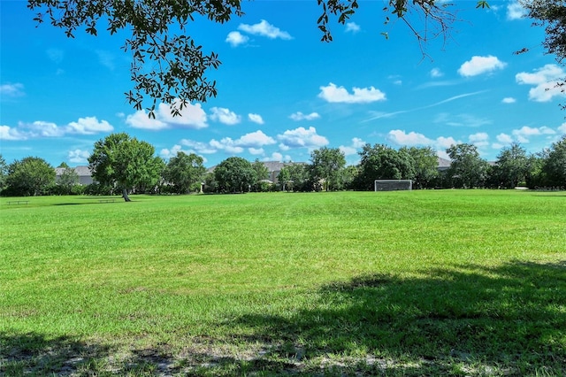 6213 Willet Ct, Lakewood Ranch, FL 34202 - view of yard with a sport area