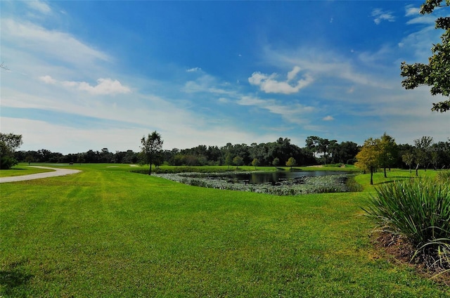 6213 Willet Ct, Lakewood Ranch, FL 34202 - view of green lawn featuring a water view and view of wooded area