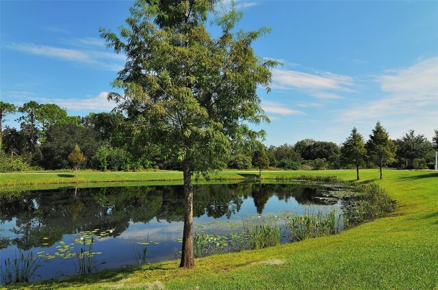 6213 Willet Ct, Lakewood Ranch, FL 34202 - water view