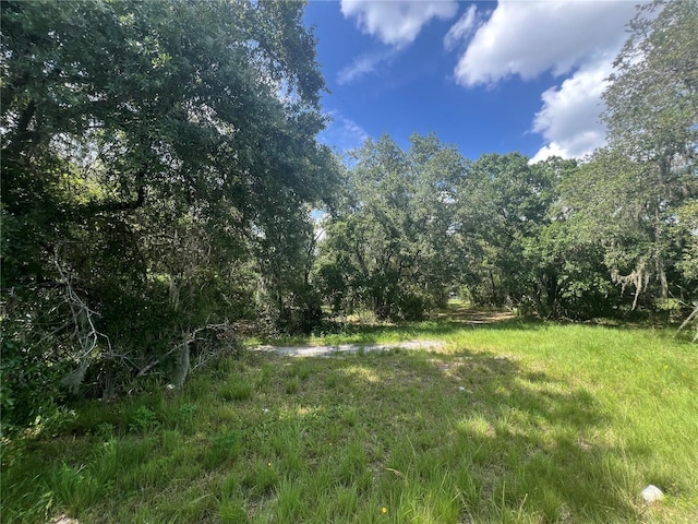 1308 E Alsobrook St, Plant City, FL 33563