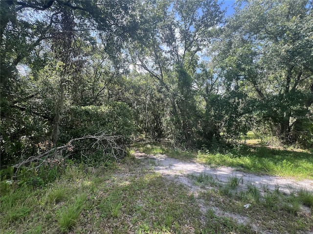 1308 E Alsobrook St, Plant City, FL 33563