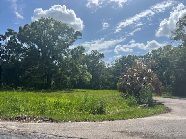 1308 E Alsobrook St, Plant City, FL 33563