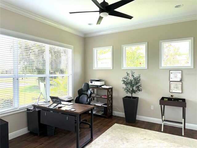 1539 Ormond Ter, Parrish, FL 34219 - photo 25