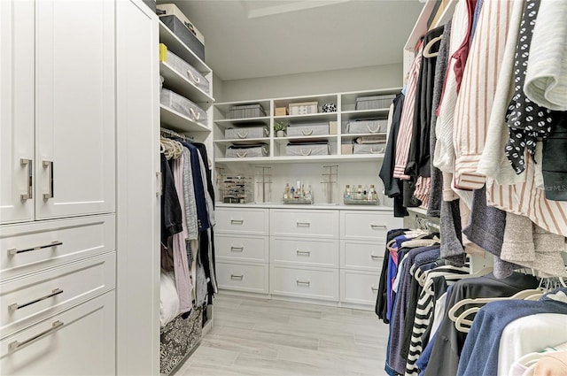 909 Crosswind Ave, Sarasota, FL 34240 - view of walk in closet