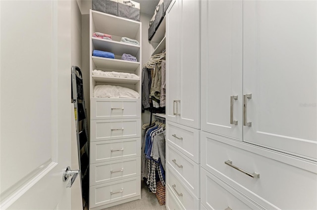 909 Crosswind Ave, Sarasota, FL 34240 - walk in closet with light carpet