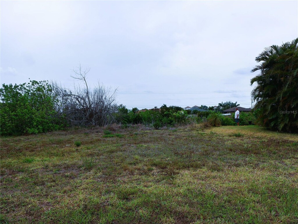 1321 SW 21st Ave, Cape Coral, FL 33991 - photo 1