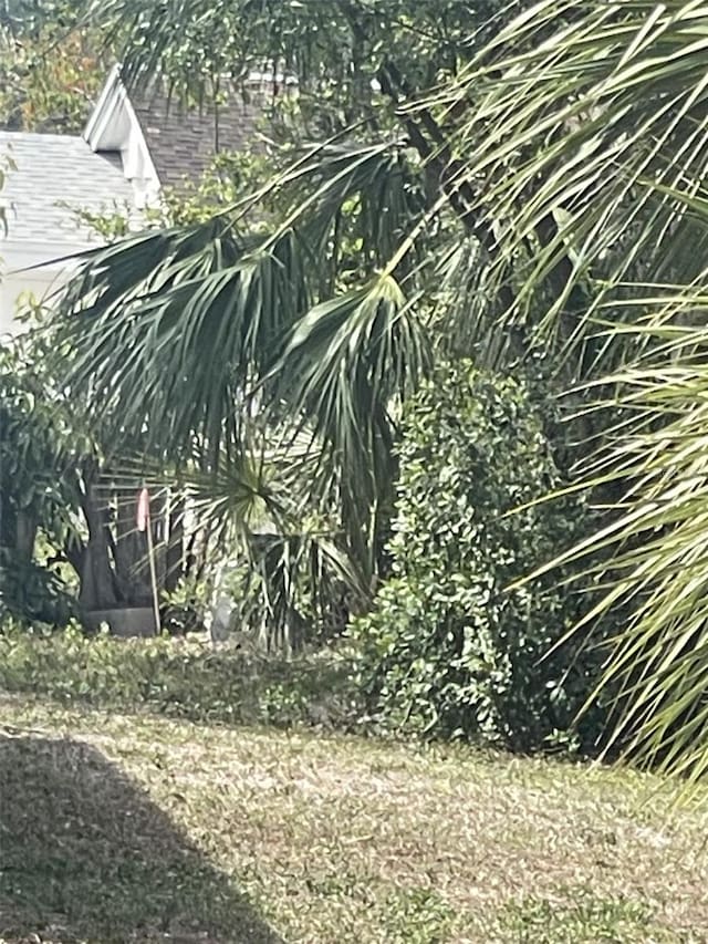 Jungle Way, Sarasota, FL 34243